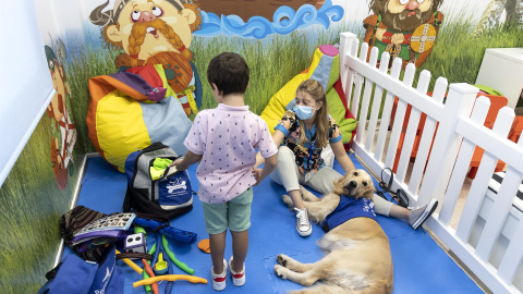 Un niño del hospital Vélez-Málaga jugando con 'Gisela', la Golden de 'Perruneando'- 03/10/