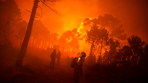 Un bombero pasa junto a los árboles incendiados durante un incendio forestal en Tabuyo del Monte, cerca de León, España, el martes 21 de agosto de 2012. PEDRO ARMESTRE