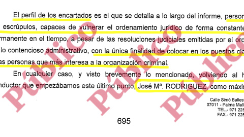 El perfil de los encartados en la organización criminal mafiosa del PP Balear, según el informe del Grupo de Blanqueo de la UDEF.