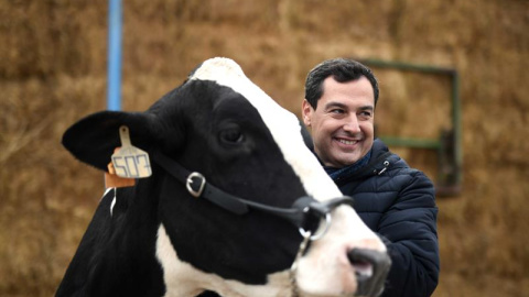 El candidato del PP a la Presidencia de la Junta de Andalucía, Juanma Moreno. - EFE