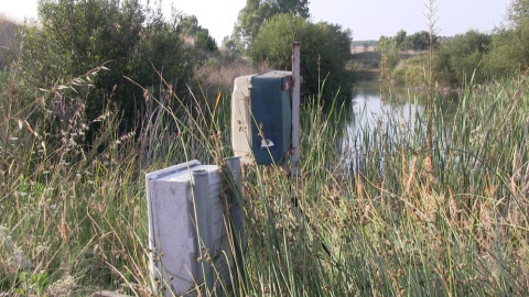 Transformadores eléctricos rodeados de maleza seca en Doñana