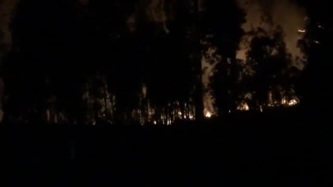 Sube a 97 el nÃºmero de incendios forestales en Asturias 