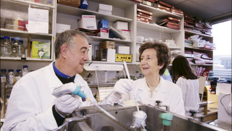 Salas trabajando en el laboratorio. / L’Oréal-Unesco For Women in Science