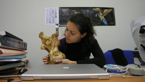 Verónica Díez Díaz observando una vértebra dorsal del saurópodo cretácico ibérico Lirainosaurus en la Universidad del País Vasco. / UPV/EHU