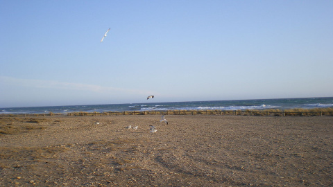 Vista de la playa almeriense de Torregarcía, en el Cabo de Gata. WIKIPEDIA