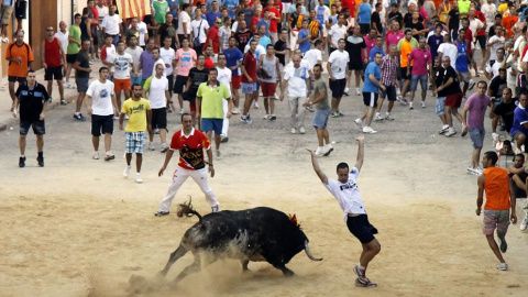 Bous al carrer en la Comunitat Valenciana (El Mundo de las Torerías)