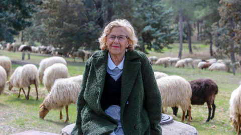 La alcaldesa de Madrid, Manuela Carmena, visita el rebaño de ovejas en la Glorieta de Moreras, en la Casa de Campo. Ricardo Rubio / Europa Press