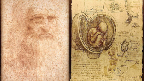 Autorretrato de Leonardo da Vinci dibujado entre 1512 y 1515 (izquierda) y dibujos sobre el embrión humano, realizados entre 1510 y 1513 (derecha).