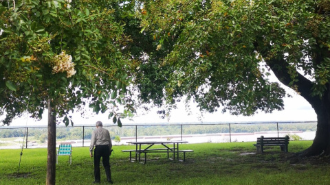 El anciano cerca del río Mississippi, en Natchez.