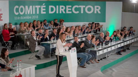 La secretaria general del PSOE-A y presidenta andaluza en funciones, Susana Díaz, recibe los aplausos de los miembros del Comité Director del partido, el máximo órgano entre Congresos. EFE/Julio Muñoz