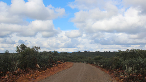 Vía pecuaria. EFE