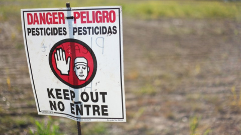 Pesticidas peligrosos.  AUSTIN VALLEY