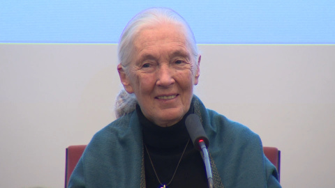 La primatÃ³loga Jane Goodall, investida doctora honoris causa por la UCM