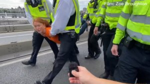 "Estoy haciendo esto por mi hijo": la sorprendente calma de una ecologista que es arrestada y llevada en volandas por la Policía