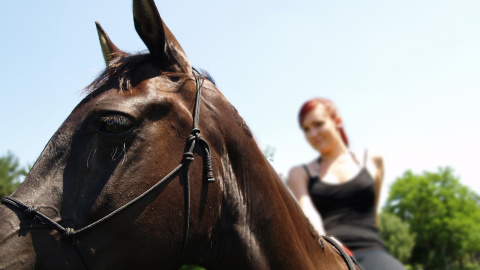 Una mujer montada en un caballo.