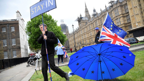 Un manifestante antibrexit, frente al Parlamento británico hace unos días. REUTERS/Toby Melville