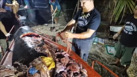 Hallan una ballena muerta en Filipinas con 40 kilos de plÃ¡sticos en su interior 