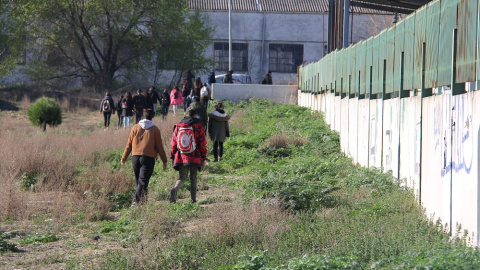 Varios activistas acuden a la parte posterior del matadero, donde se puede ver como los trabajadores descargan a los cerdos del camión./ Alejandro Tena