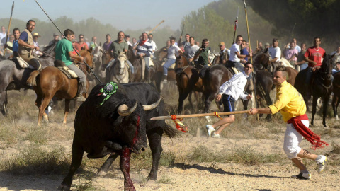 Espectaculo de El Toro de la Vega en Tordesillas. EFE