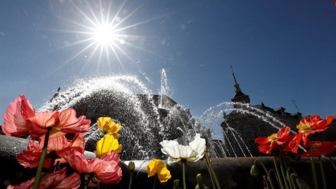 El sol ilumina varias flores en una fuente de Pamplona. EFE/Jesús Diges