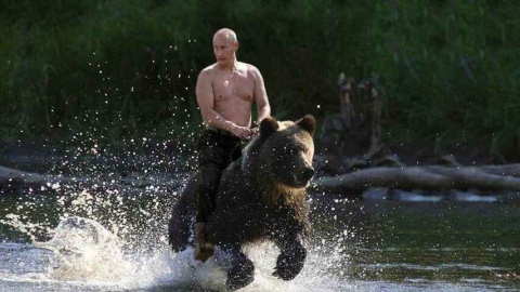  Vladímir Putin convertido en meme. El presidente de la Federación de Rusia, a lomos de un oso.