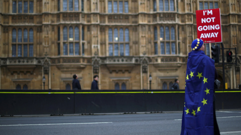 Un manifestante anti-brexit en los alrededores del Parlamento en Londres. | Reuters