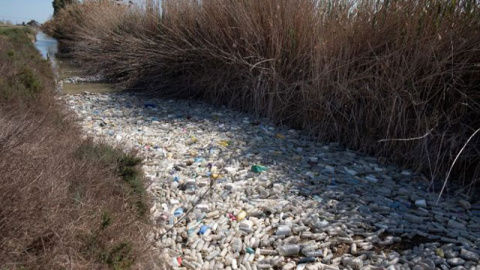 Aspecto de un tramo del río Segura lleno de botellas de plástico.