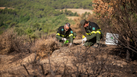 Una de les tasques dels agents rurals és prevenir els incendis i investigar-ne les causes.