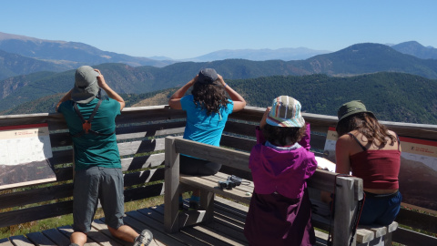 Nens i nenes en una activitat d’observació d’aus