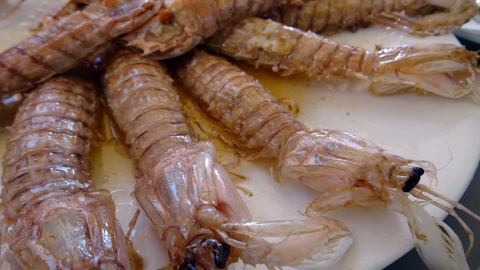 A Catalunya hi ha més de 50 espècies de peixos que es poden cuinar de manera molt fàcil i que són deliciosos