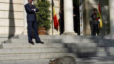 Aznar, en su época de presidente del Gobierno, en las conocidas escalinatas de La Moncloa.