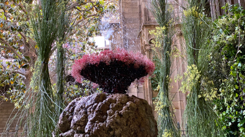 La tradició de l'Ou com balla a la Catedral de Barcelona amb una ornamentació renovada amb una proposta més verda i natural