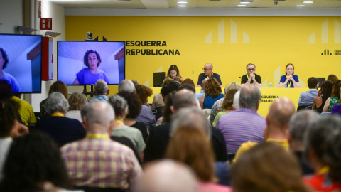 La secretària general d'ERC, Marta Rovira, en una intervenció telemàtica al Consell Nacional d'aquest dissabte.