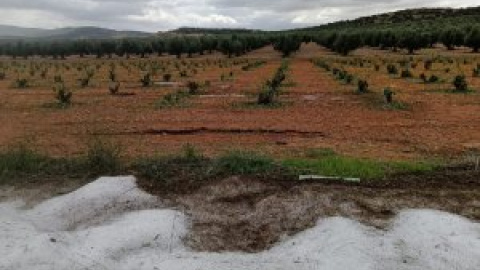 Una tormenta de agua y granizo arrasa 200 hectáreas de cultivos agrícolas en la localidad toledana de Manzaneque