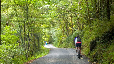 9/10/24 Un ciclista por una de las vías del Parque Natural das Fragas do Eume / Xunta