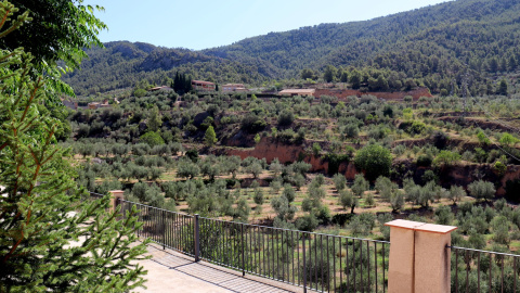 Imatge de les oliveres situades als peus del Montsant, a Cabacés (Priorat)