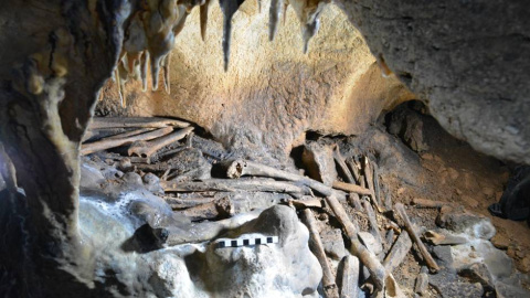 Huesos humanos procedentes de Cueva de Ardales