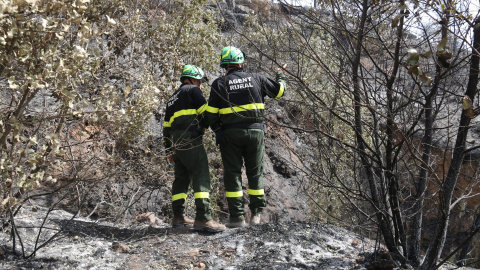 20/06/2022 - Investigadors dels Agents Rurals a la zona on va començar l'incendi de Baldomar, a Artesa de Segre.