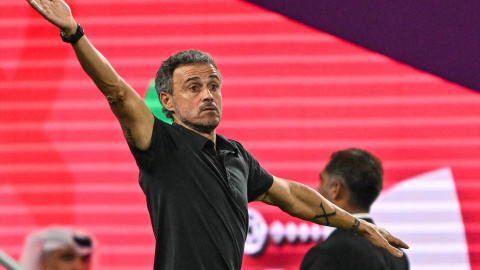 Luis Enrique, durante el pasado mundial.