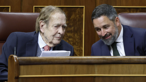 Ramón Tamames, candidato de Vox en la moción, conversa con el líder de la formación de ultraderecha, Santiago Abascal.