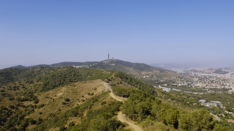 Carena de Sant Pere Martir