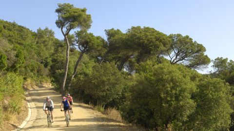 Itinerari en bici pel Passeig de les Aigues