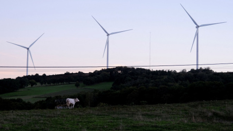 Vista de unos aerogeneradores cerca del municipio de Paradela, en la provincia gallega de Lugo. REUTERS/Nacho Doce