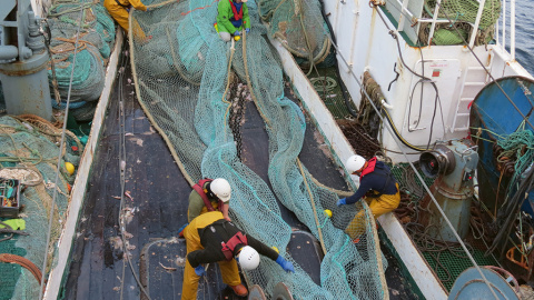 30/1/23 Marineros trabajando a bordo del ‘Faro Picamillo’.