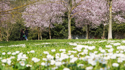 Para este primer fin de semana de la primavera se espera un clima estable aunque las temperaturas bajarán a partir del domingo