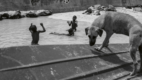 27/3/23 Un perro en primer plano y dos niños al fondo jugando a la pelota mientras se bañan en la playa en Santa María | Alba Díaz.