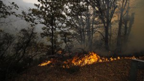 17 incendios forestales en 11 concejos asturianos, y una carta del ecologismo asturiano pidiendo la dimisión del consejero