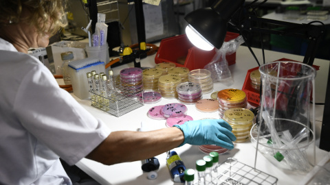 Una investigadora trabaja en el Laboratorio Regional de Salud Pública de la Comunidad de Madrid.