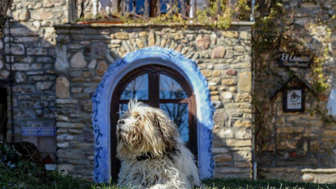 Un perro descansa junto a la casa que Víctor levantó a lo largo de los años.