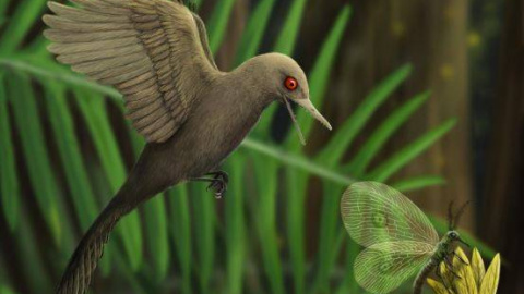 Representación artística del pájaro-dinosaurio que vivió hace 99 millones de años. / HAN Zhixin